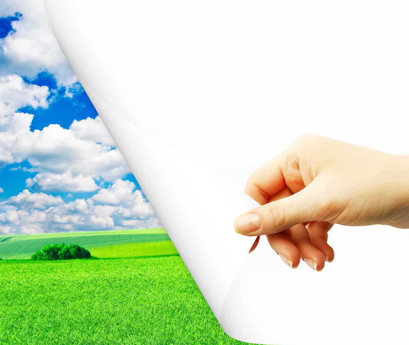 OUT WITH A CURSE, IN WITH THE NEW